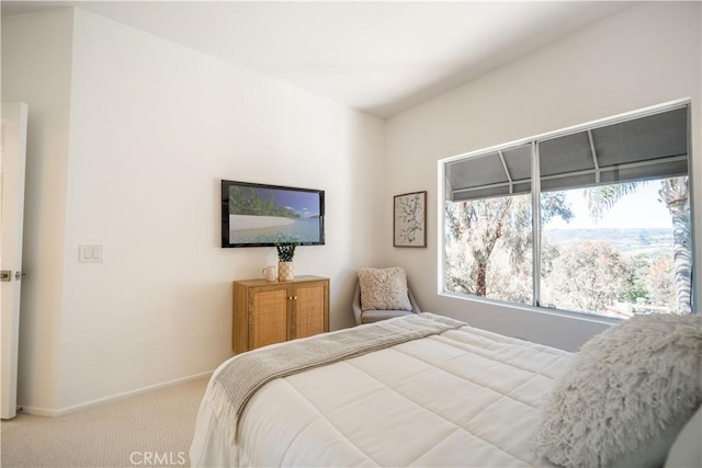 bedroom with baseboards and carpet