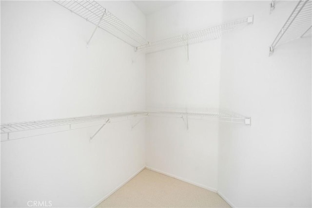 spacious closet featuring light carpet