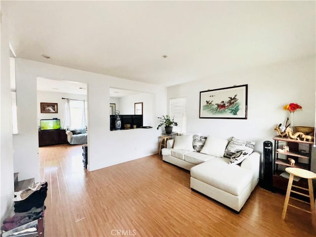 living area with wood finished floors