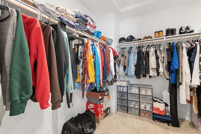 spacious closet with carpet