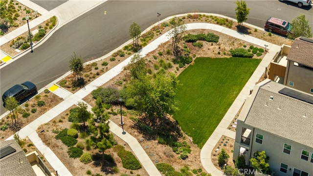 bird's eye view