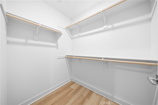 walk in closet with light wood-style flooring