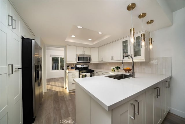 kitchen featuring a tray ceiling, stainless steel appliances, tasteful backsplash, a sink, and a peninsula