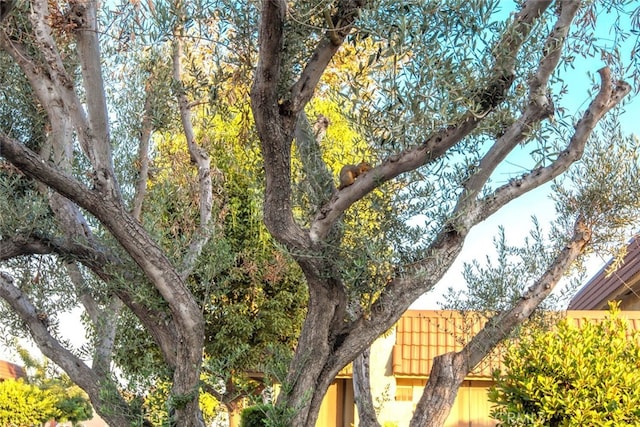 view of home's exterior