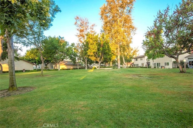 view of yard featuring a residential view