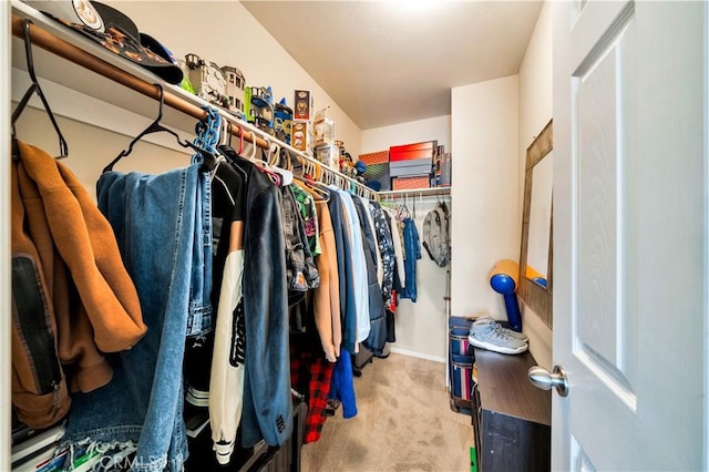 walk in closet featuring carpet floors