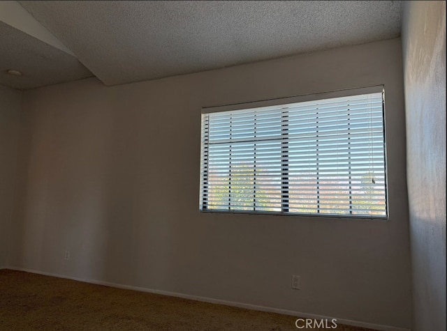 spare room with a textured ceiling and carpet floors