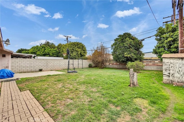 view of yard with a patio and a fenced backyard