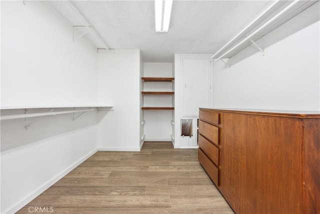 walk in closet with wood finished floors