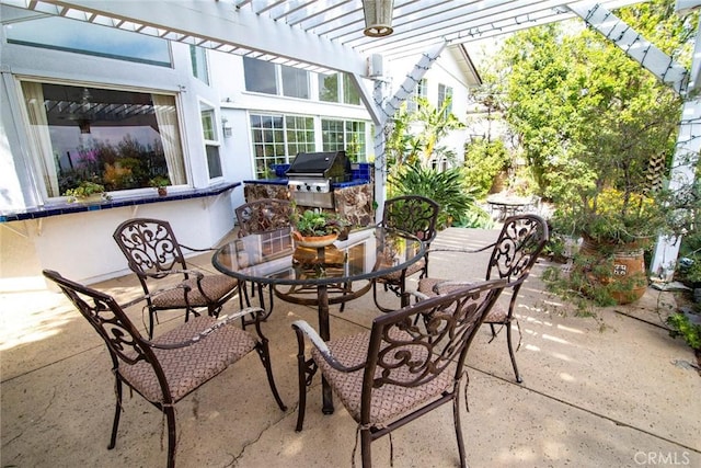 view of patio with outdoor dining space and grilling area