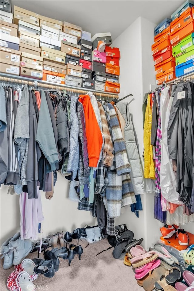 walk in closet featuring carpet flooring