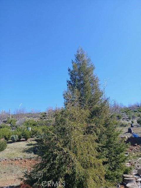15260 Evergreen Dr, Cobb, CA 95426 - photo 8