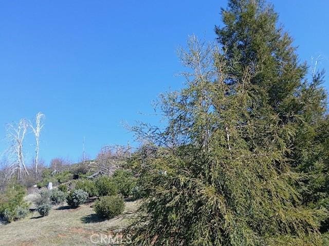 15260 Evergreen Dr, Cobb, CA 95426 - photo 7