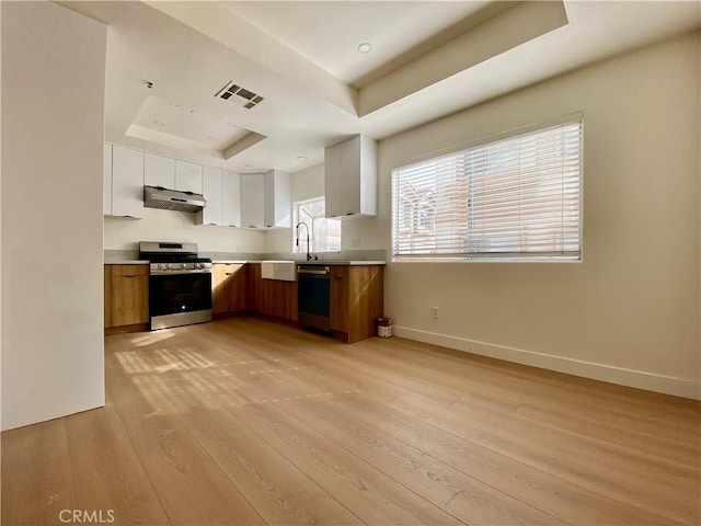 kitchen with under cabinet range hood, light countertops, a tray ceiling, appliances with stainless steel finishes, and light wood-style floors