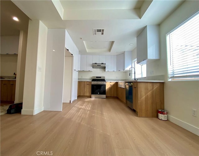 kitchen featuring visible vents, light wood-type flooring, a tray ceiling, light countertops, and stainless steel appliances