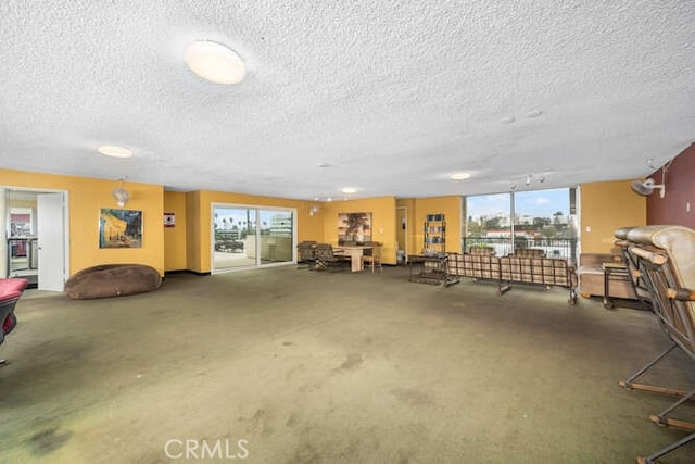 misc room featuring plenty of natural light, a textured ceiling, and carpet floors