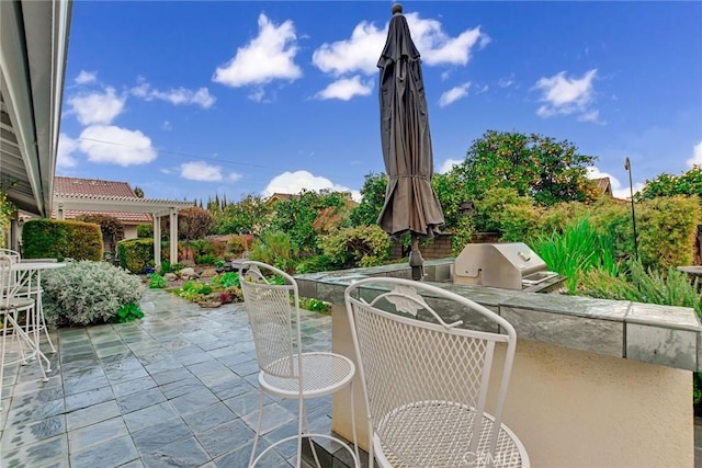 view of patio with grilling area, an outdoor kitchen, outdoor dining space, and a pergola