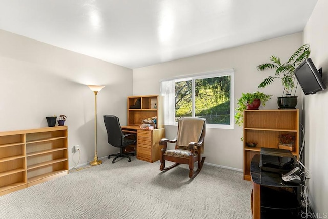 office with carpet flooring and baseboards