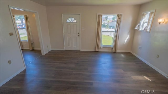 foyer featuring plenty of natural light, wood finished floors, and baseboards