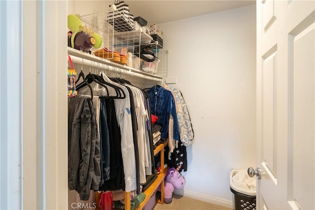 spacious closet featuring carpet floors