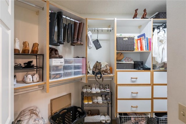 view of walk in closet
