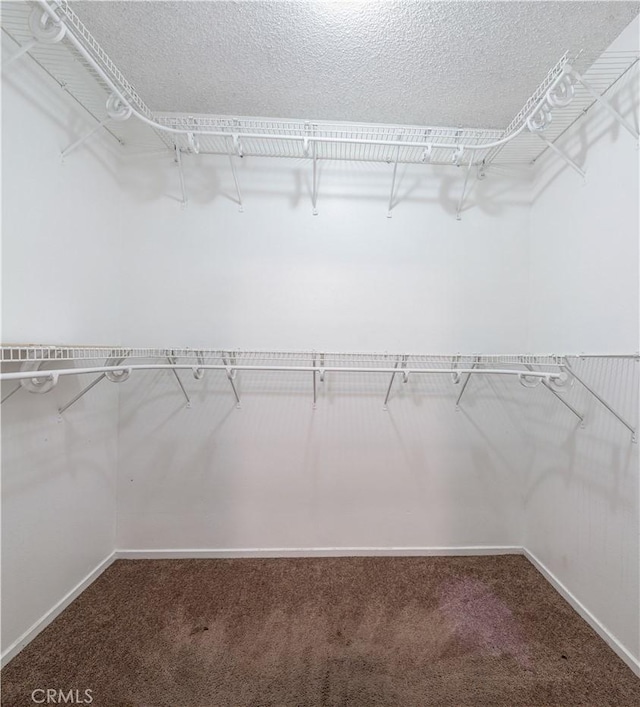 walk in closet with carpet