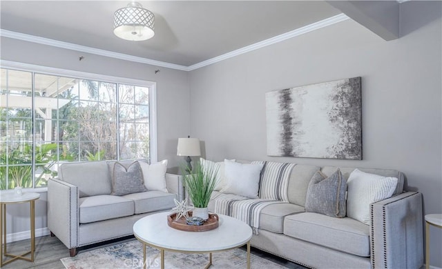 living area featuring baseboards, wood finished floors, and ornamental molding