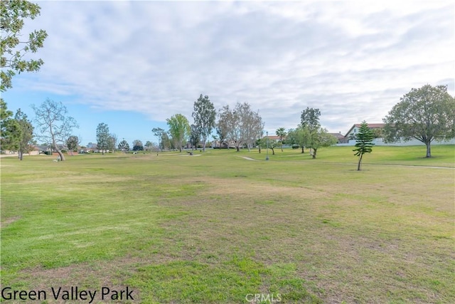 view of community with a lawn