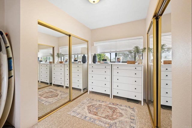 walk in closet featuring carpet flooring