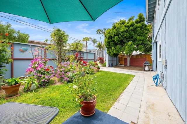 view of yard with a patio and a fenced backyard