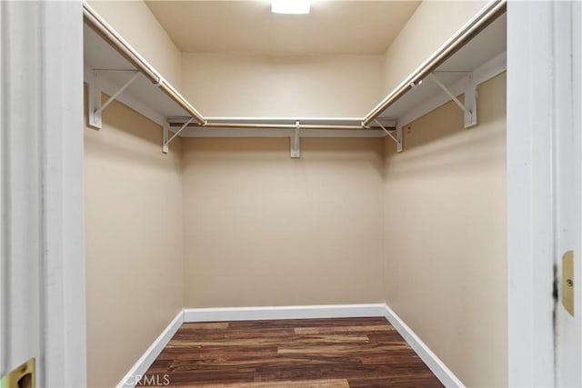 walk in closet featuring wood finished floors