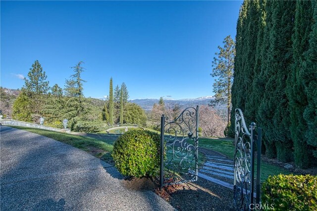 50369 Rd 420, Coarsegold, CA 93614 - view of asphalt road