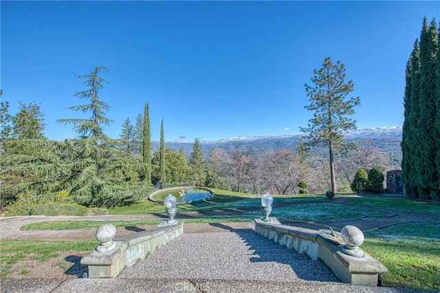 view of property's community with a lawn and a mountain view