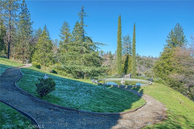 view of community featuring a lawn