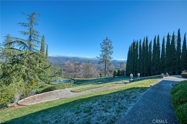 view of home's community with a view of trees and a yard