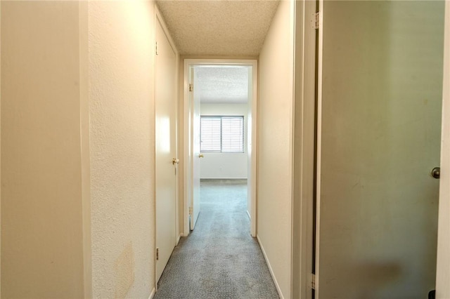 27666 Nugget Dr Unit 3, Canyon Country, CA 91387 - hallway featuring light colored carpet, a textured ceiling, and baseboards