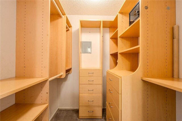 27666 Nugget Dr Unit 3, Canyon Country, CA 91387 - spacious closet featuring dark carpet