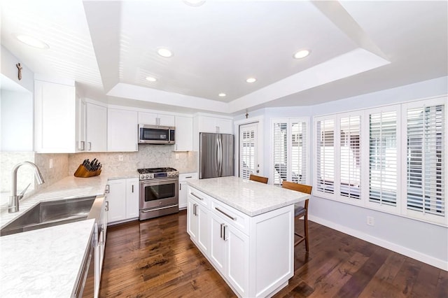 kitchen with a sink, a tray ceiling, dark wood-style floors, appliances with stainless steel finishes, and decorative backsplash