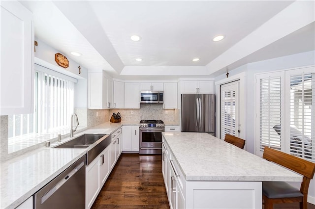 kitchen featuring tasteful backsplash, a kitchen island, a tray ceiling, stainless steel appliances, and a sink