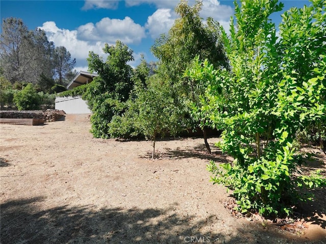 view of local wilderness