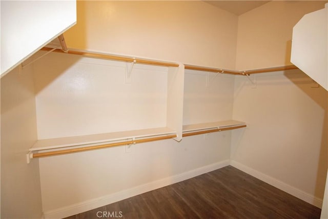 walk in closet featuring dark wood finished floors