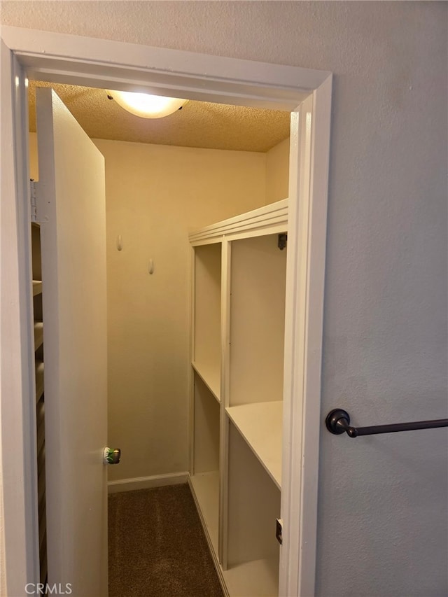 spacious closet featuring carpet floors