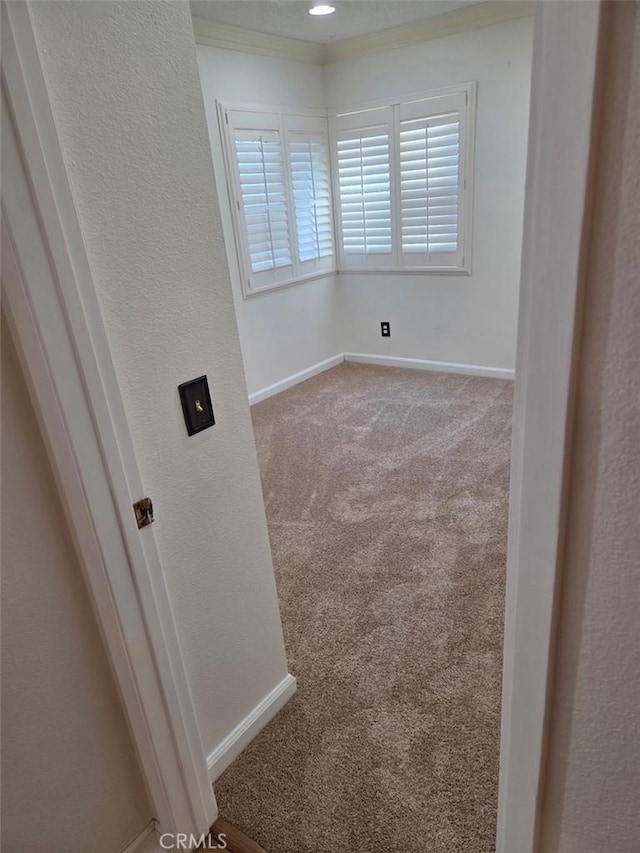 carpeted empty room featuring baseboards and a textured wall