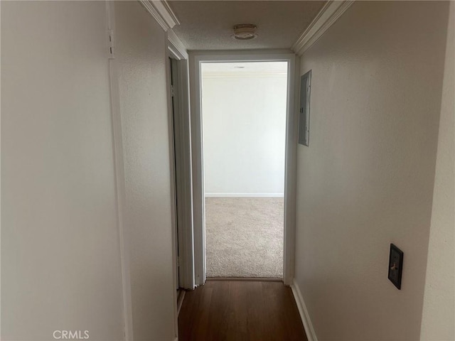 hall featuring electric panel, baseboards, wood finished floors, and ornamental molding