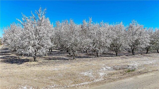 0 Santa Fe Ave, Planada, CA 95365 - photo 3