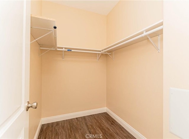 spacious closet featuring wood finished floors