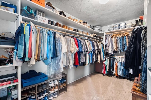 spacious closet featuring carpet