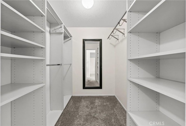 walk in closet with carpet