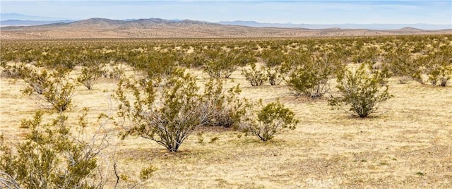 Listing photo 3 for 0 Irwin Rd, Barstow CA 91607