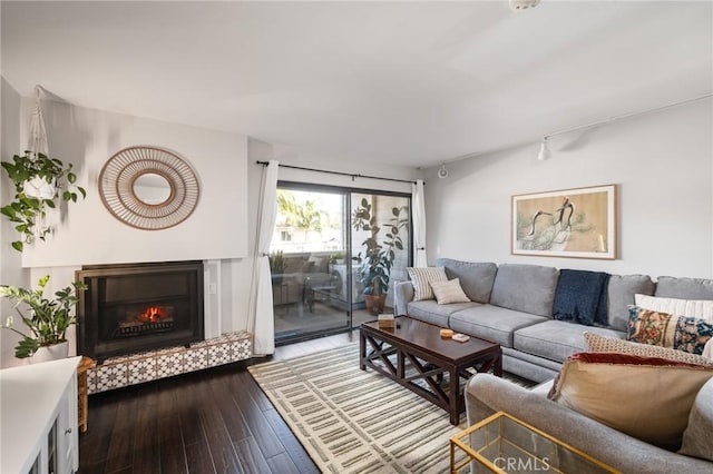living area with dark wood-style flooring, rail lighting, and a glass covered fireplace